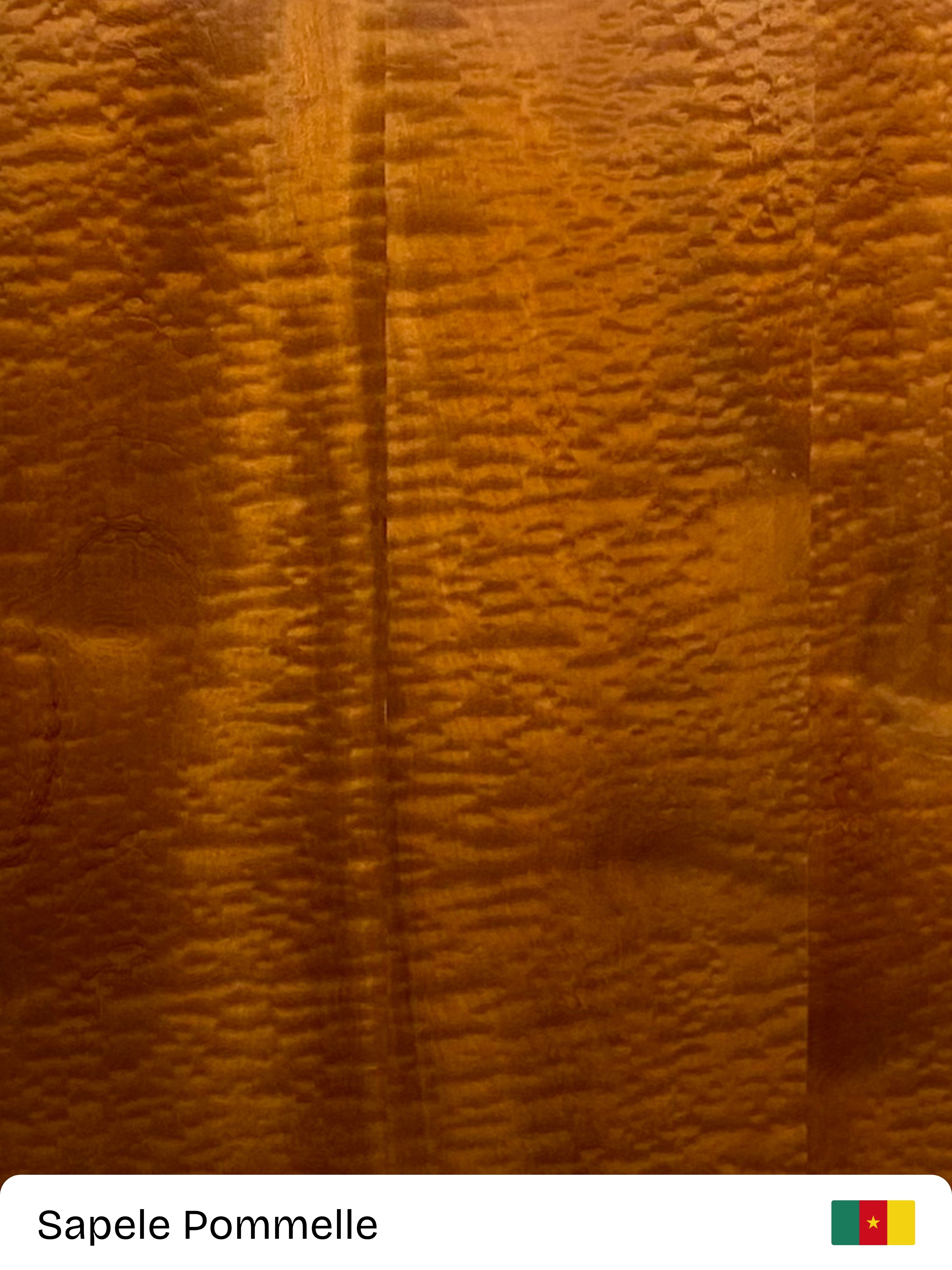 Sapele-Pommelle