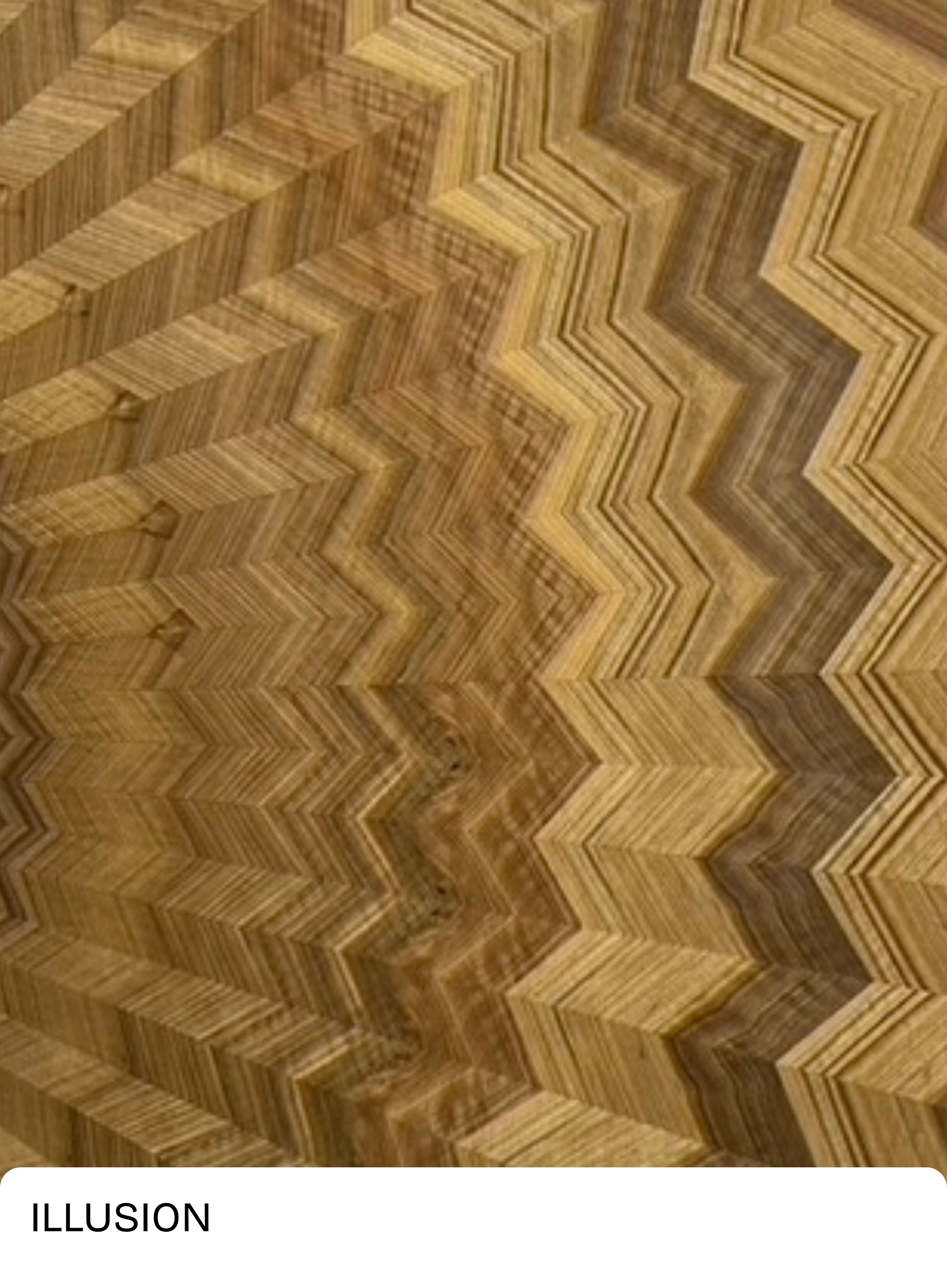 ILLUSION