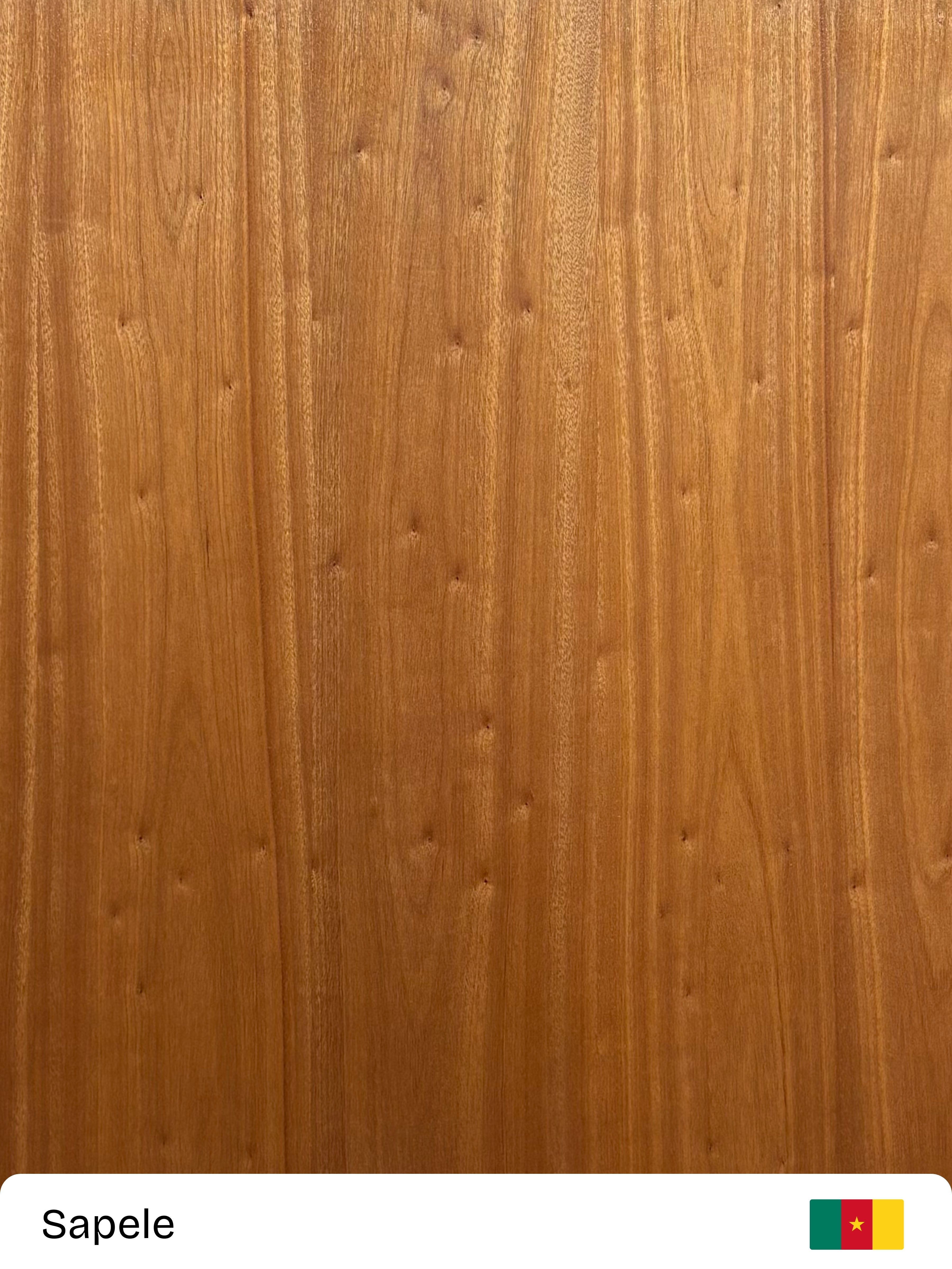 Sapele
